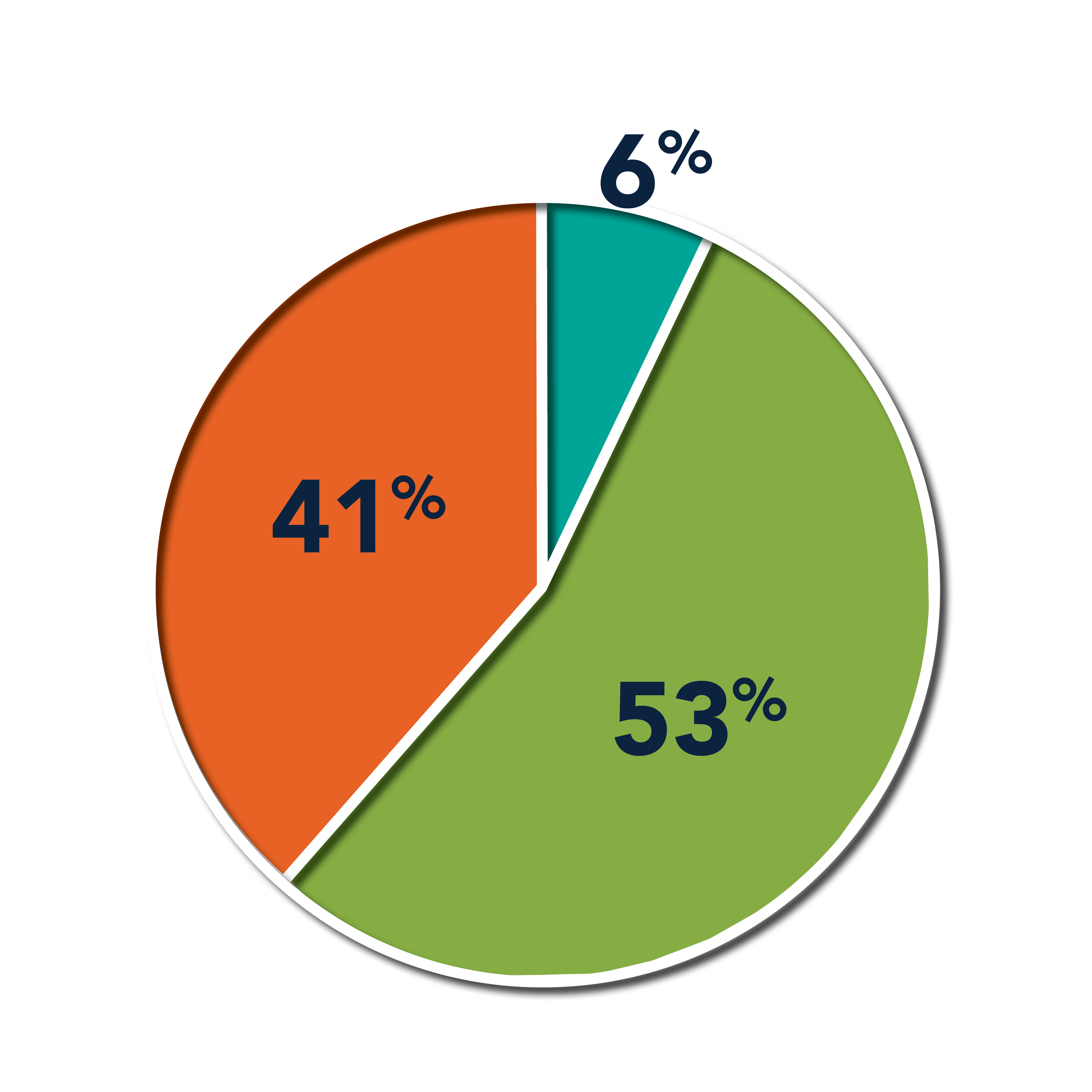 6% Conditionally Ready, 53% College Ready, 41% Research Ready Incoming Students Graph